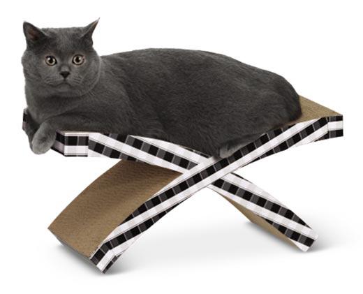 Heart to Tail 
 Cat Scratch and Rest