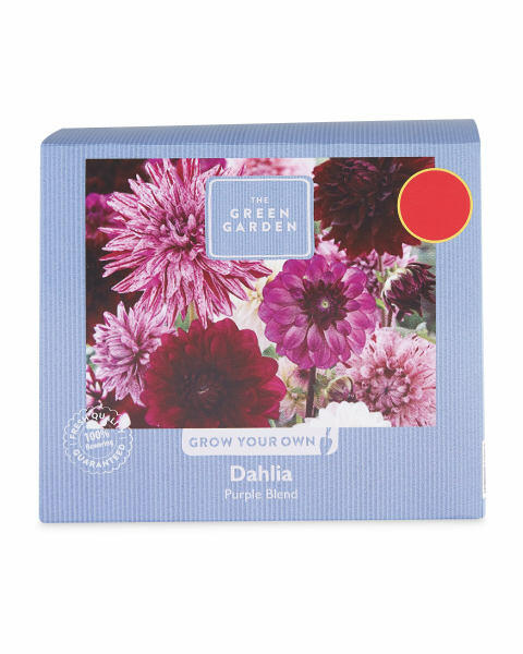 Colour Blends Spring Mix