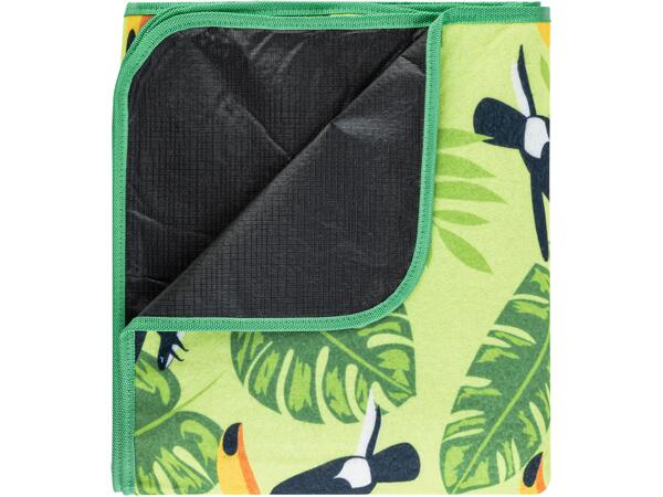 Picnic Blanket