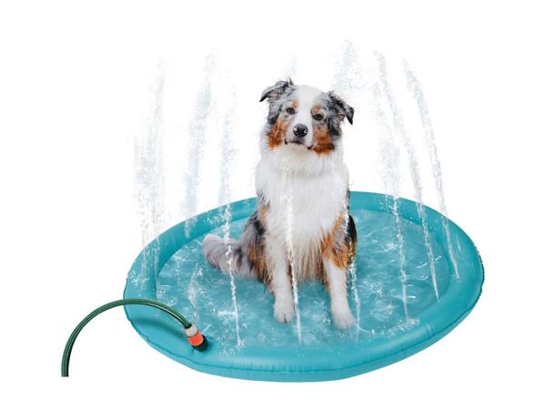 Zoofari Dog Water Sprinkler Play Mat
