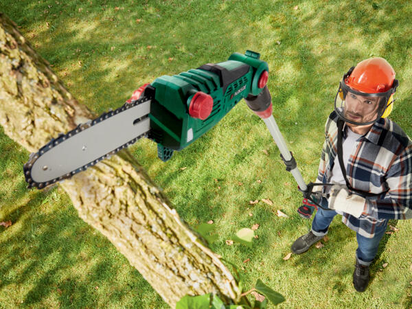 Cordless Pole Saw