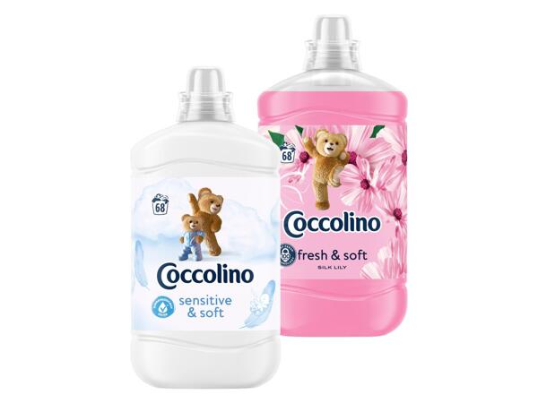 COCCOLINO AVIVÁŽ