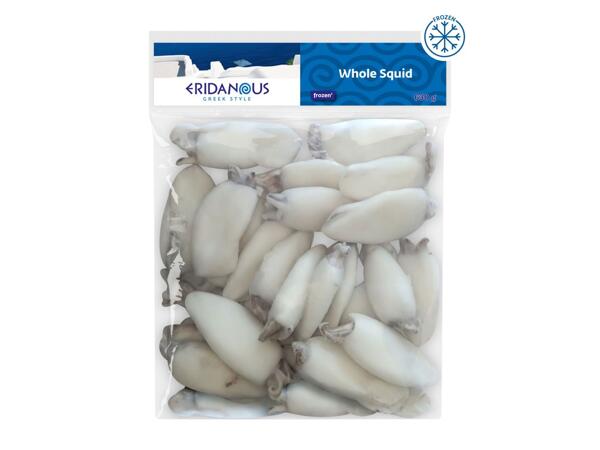 Eridanous Whole Squid
