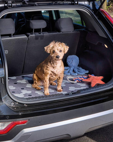 Washable Boot Mat