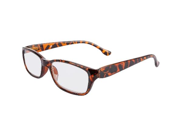Folding Reading Glasses