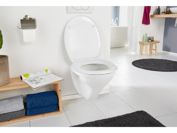 Toilet Seat