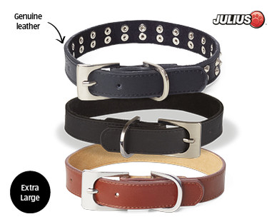 LEATHER PET COLLARS