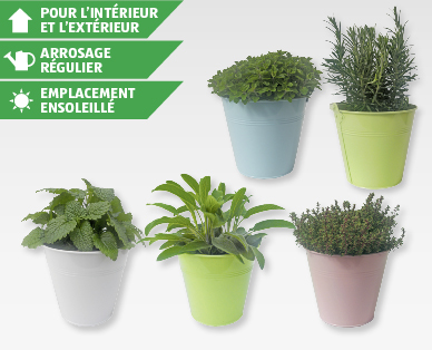 Mélange d'épices dans un pot en zinc de couleur