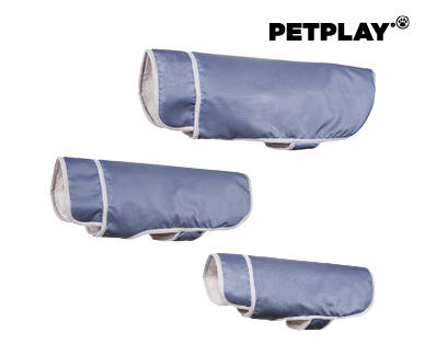 Dog Accessories