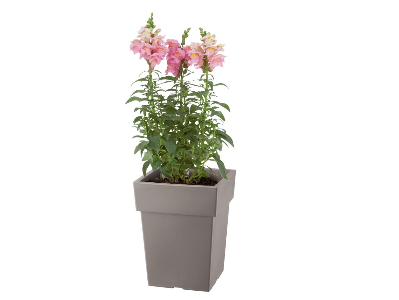 Planter
