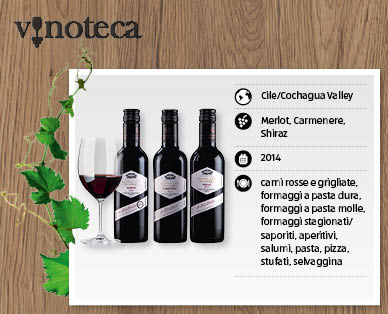 Vino rosso Gran Reserva SANTA LUZ
