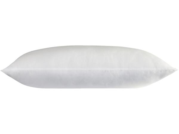 Anti-Allergy Pillows
