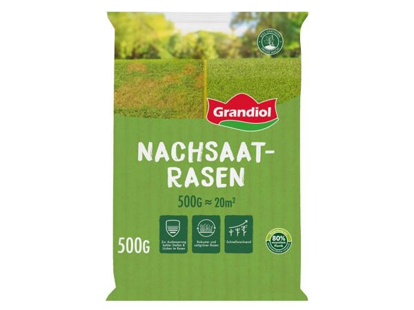 Nachsaatrasen