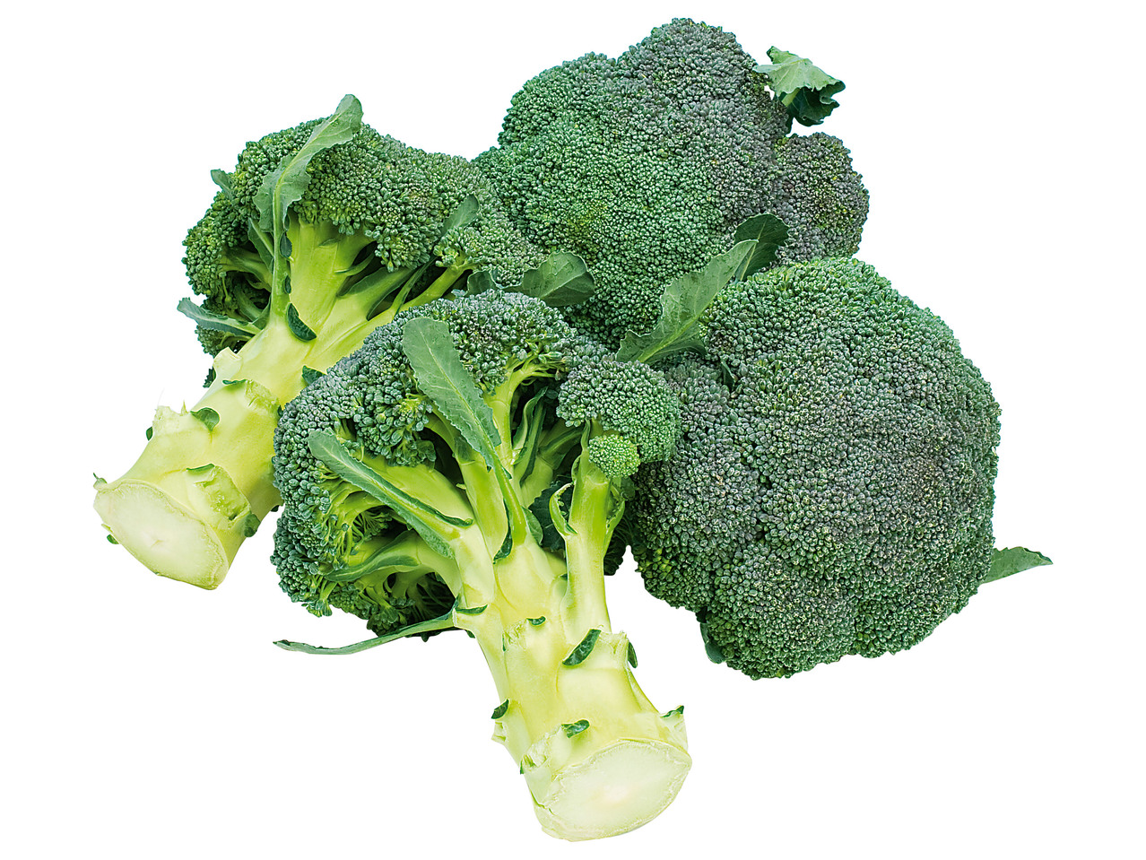 Broccoli
