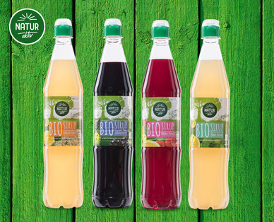 NATUR AKTIV Bio-Sirup