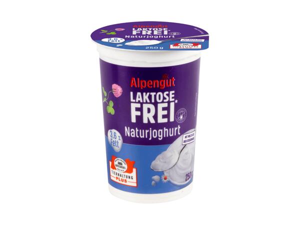 Laktosefreies Naturjoghurt