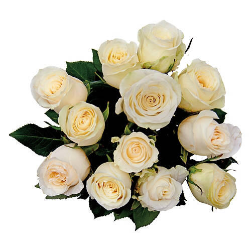 12 Roses Bouquet - Assorted Colors