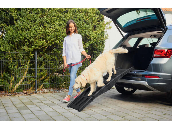 Dog Ramp