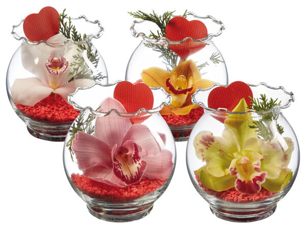 Orchidee in Wellenrandglas
