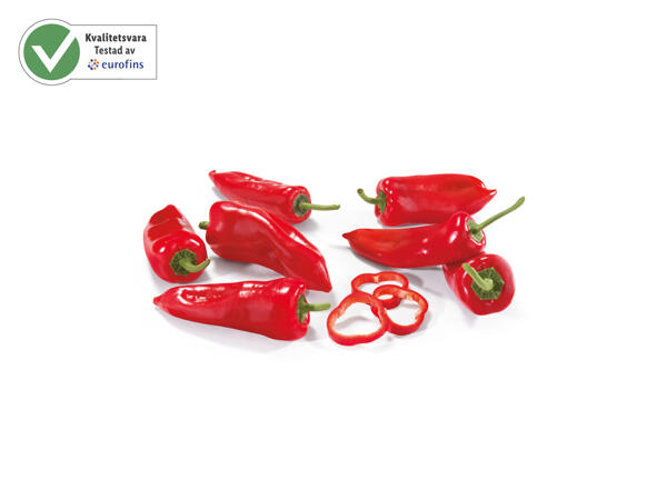 Spetsig röd paprika