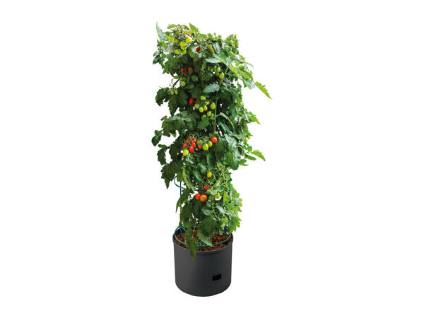 Parkside Tomato Planter