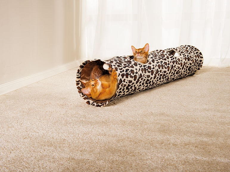 ZOOFARI Cat Tunnel