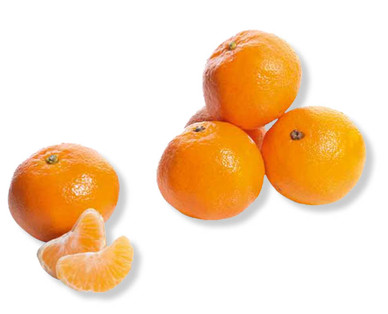Clémentines