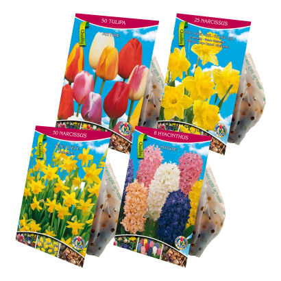 Store blomsterløg i net