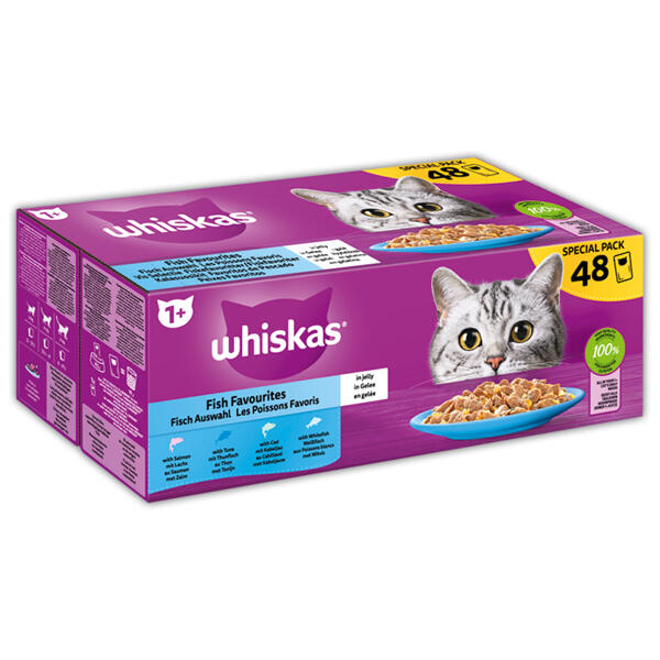 Katzennahrung XXL
