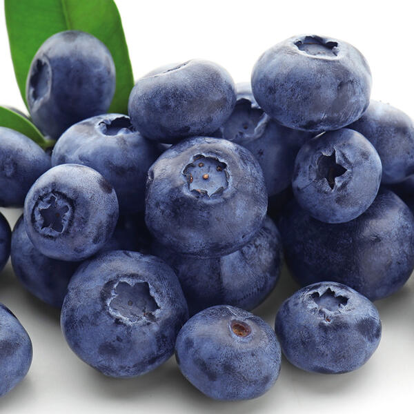 Kultur-Heidelbeeren