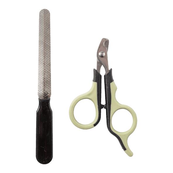 Soin des ongles ou soin dentaire pour animaux domestiques