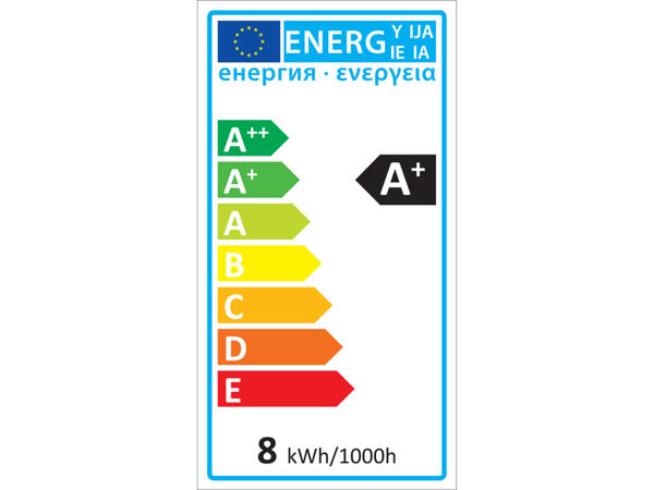 LED Light Bulb