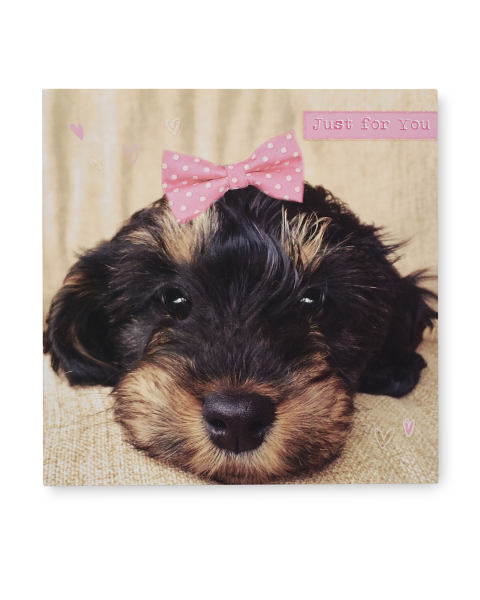 2 Pack Birthday Card - Puppy