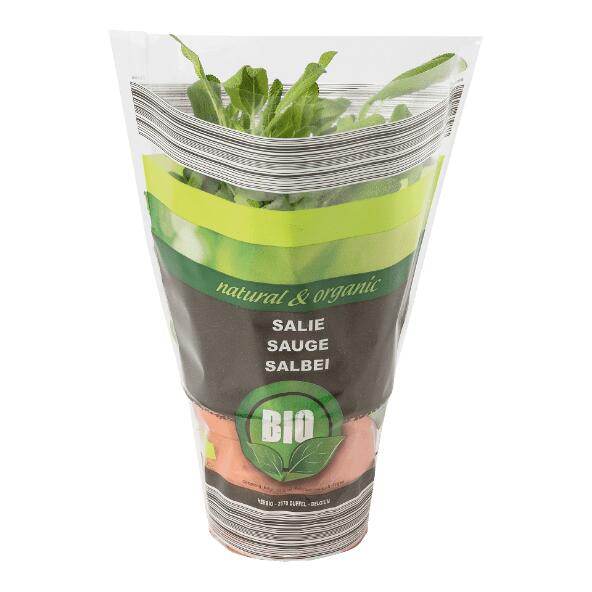 Biokruidenplant