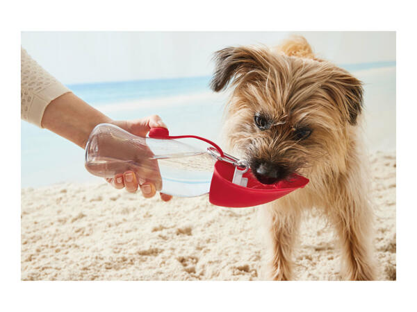 Zoofari Dog Travel Water Bottle