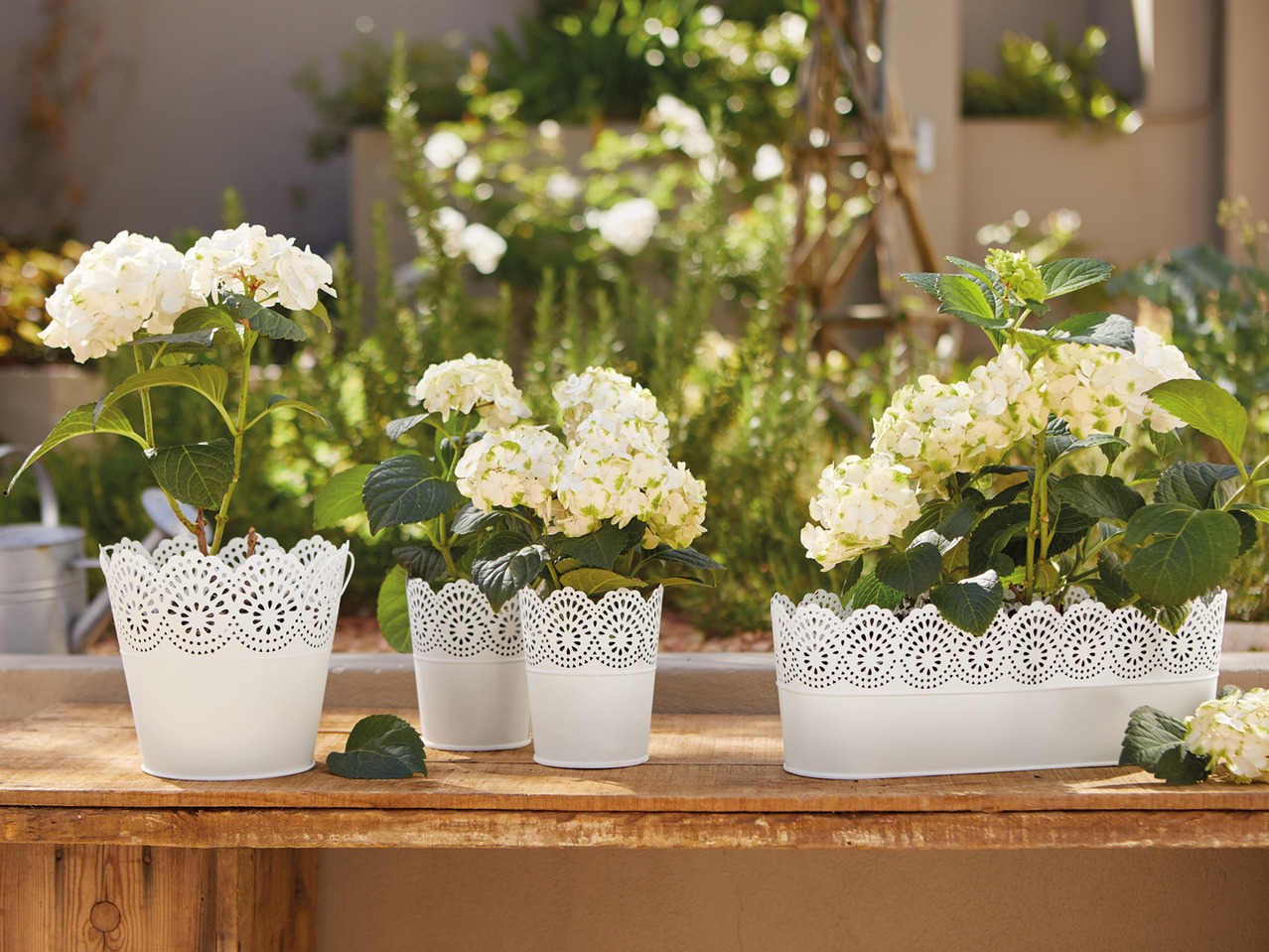 Florabest Planters1
