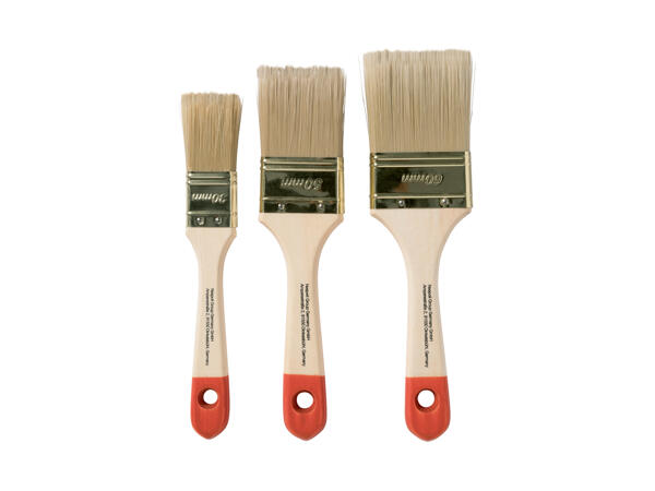 Paintbrush Set
