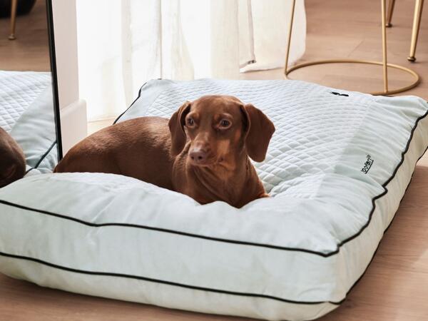 Reversible Dog Bed