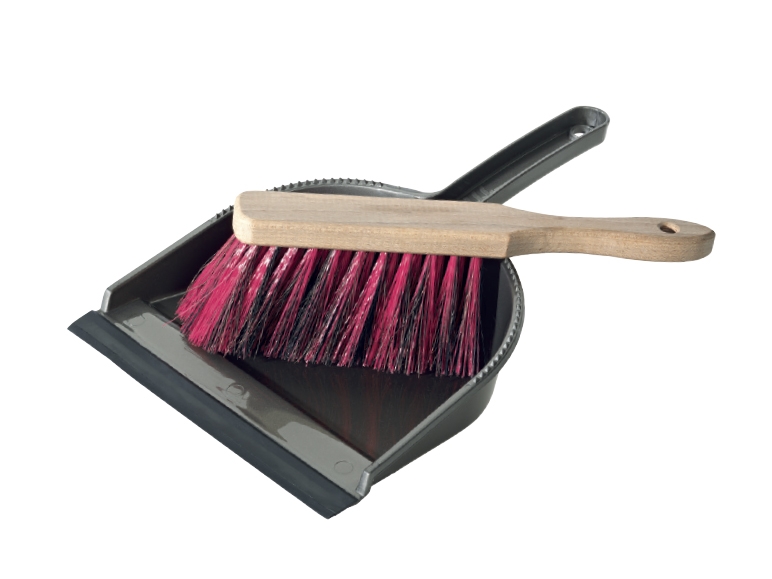 AQUAPUR Dustpan & Brush Set