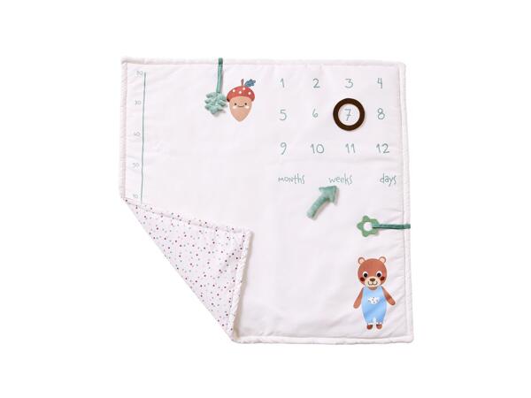 Baby Milestone Blanket