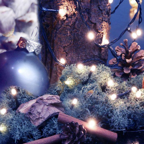Ledkerstverlichting