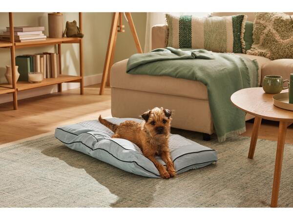 Dog Bed