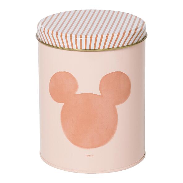 DISNEY(R) 				Bewaardozen, 2 st.