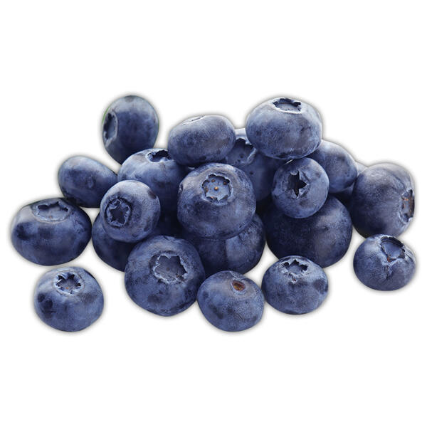 Premium Heidelbeeren