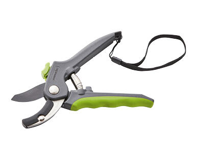 Pruning Shears