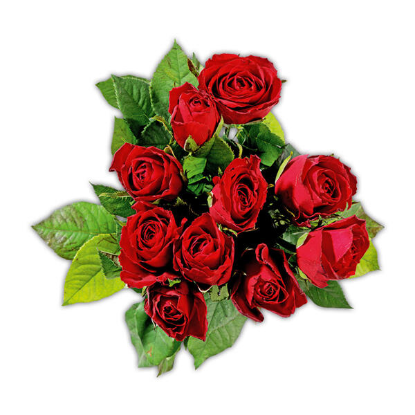 FAIRTRADE(R) Rosen