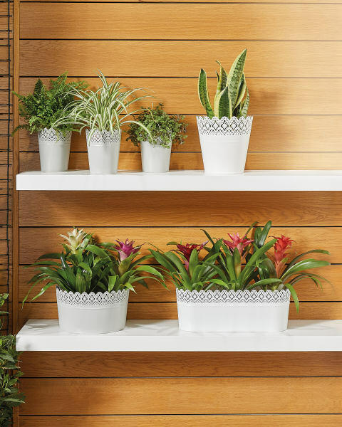 Flat Grey Flower Pot
