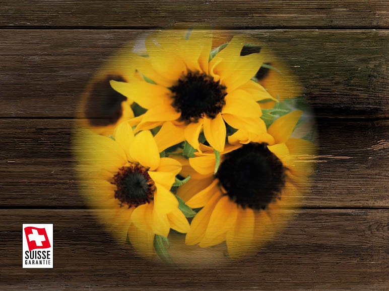 Tournesols de Suisse