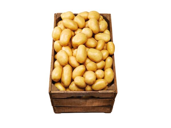 Potatis