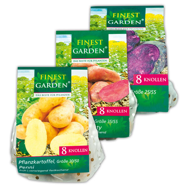 Pflanzkartoffeln